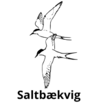 saltbækvig removebg preview